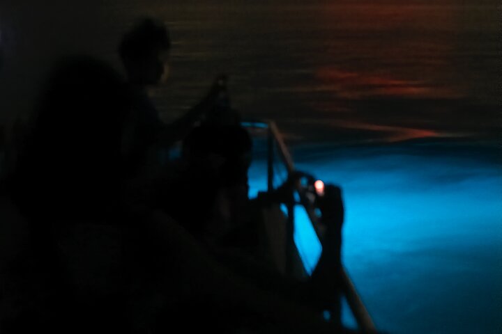 Bioluminescent Boat Tour in Mosquito Bay, Vieques