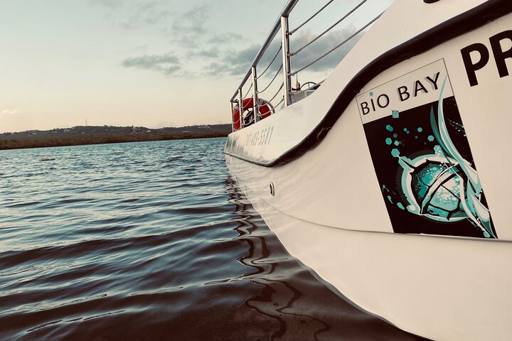 Bioluminescent Boat Tour in Mosquito Bay, Vieques