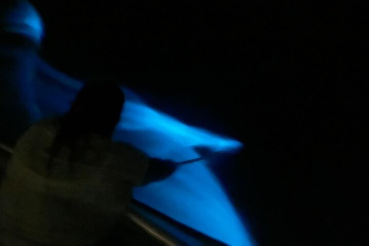 Bioluminescent Boat Tour in Mosquito Bay, Vieques