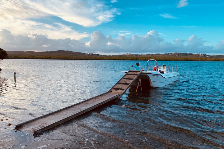 Bioluminescent Boat Tour in Mosquito Bay, Vieques