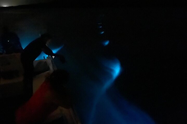 Bioluminescent Boat Tour in Mosquito Bay, Vieques