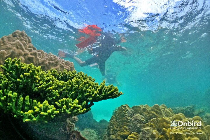 OnBird - Private family KID-FRIENDLY Snorkeling trip by speedboat in Phu Quoc