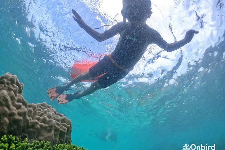 OnBird - Private family KID-FRIENDLY Snorkeling trip by speedboat in Phu Quoc