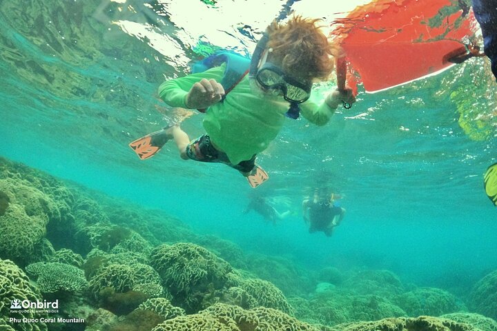 OnBird - Private family KID-FRIENDLY Snorkeling trip by speedboat in Phu Quoc