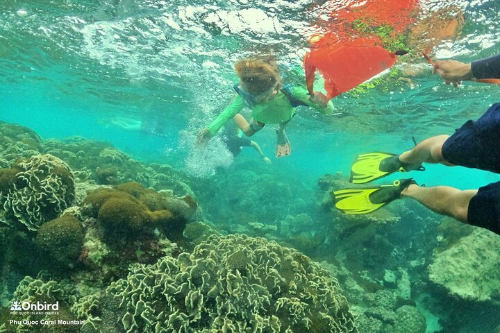 OnBird - Private family KID-FRIENDLY Snorkeling trip by speedboat in Phu Quoc