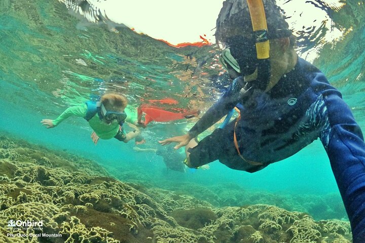OnBird - Private family KID-FRIENDLY Snorkeling trip by speedboat in Phu Quoc