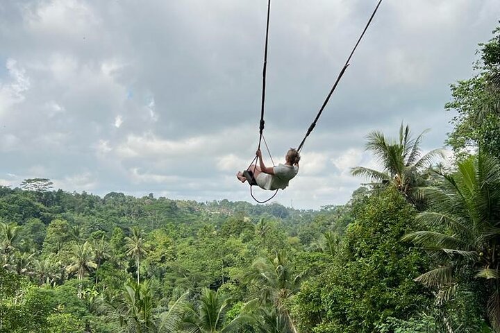 Bali Jungle Swing Experience Full Activity