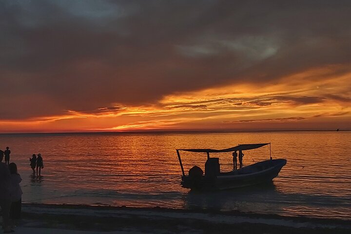 Boat Tour of Three Islands in Holbox with Transportation