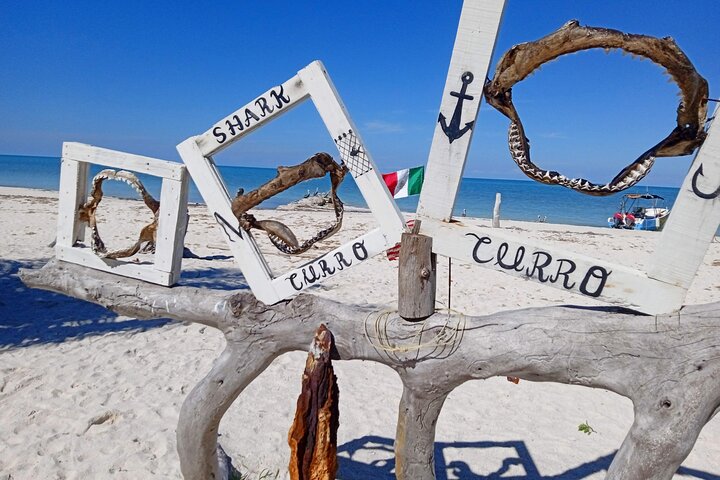 Full Day Tour with Fishing and Snorkeling from Holbox