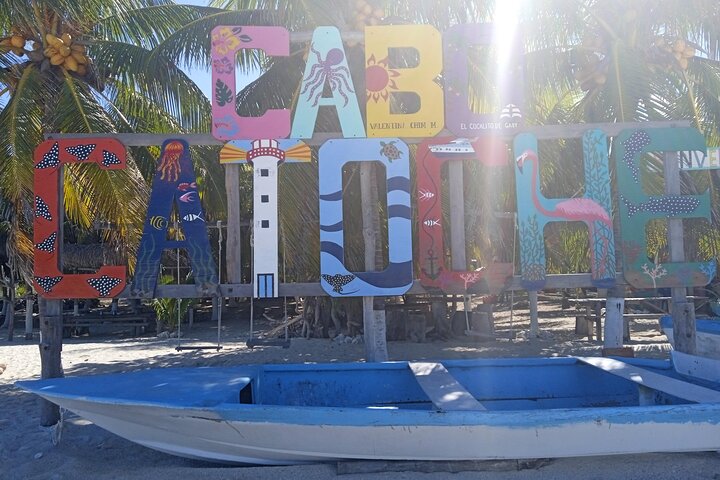 Full Day Tour with Fishing and Snorkeling from Holbox