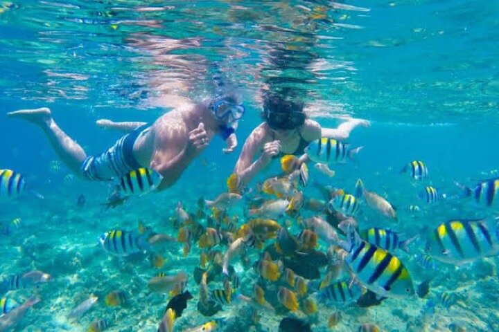 Bali Blue Lagoon Snorkeling with Lunch & Private Hotel Transfer