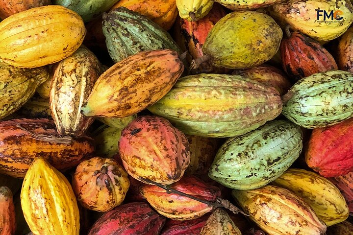 Cai Rang floating market, Cacao & hidden small canal
