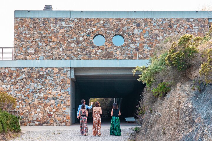 Wine tasting and visit to a design Cellar at Ripalte