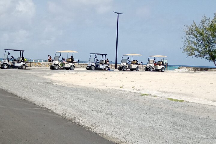 Drive GDT - Golf Cart Rentals