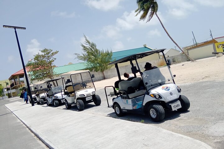 Drive GDT - Golf Cart Rentals