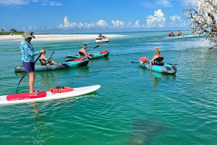 Guided Island EcoTour: CLEAR/Standard Kayak, SUP - Bonita Springs