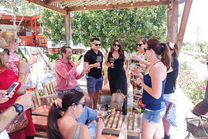 Premium Valle de Guadalupe Wine and Food Tour
