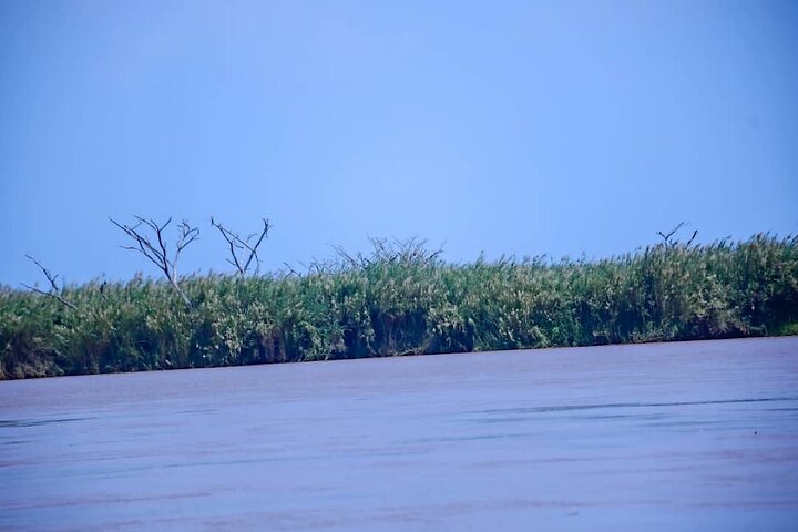 Full-Day Tour Bujumbura With Rusizi Park And Stanley Monument