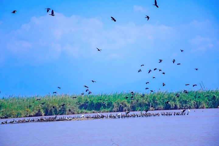 Full-Day Tour Bujumbura With Rusizi Park And Stanley Monument