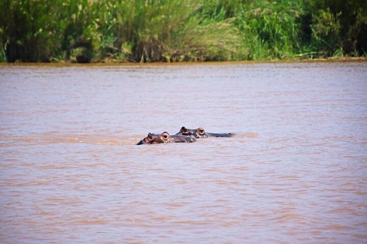 Full-Day Tour Bujumbura With Rusizi Park And Stanley Monument