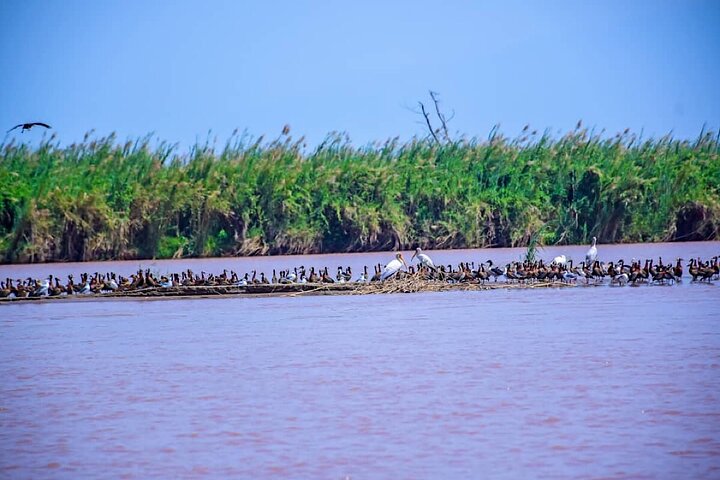 Full-Day Tour Bujumbura With Rusizi Park And Stanley Monument
