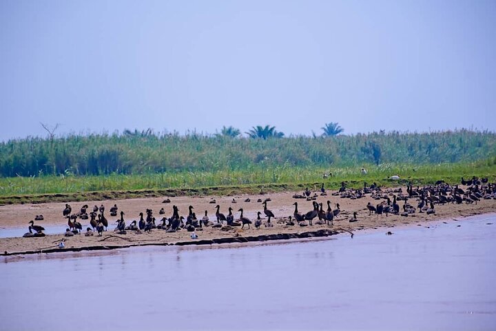 Full-Day Tour Bujumbura With Rusizi Park And Stanley Monument