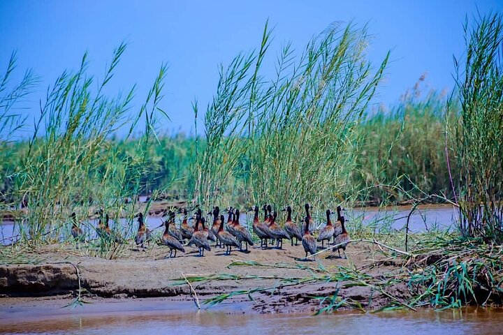 Full-Day Tour Bujumbura With Rusizi Park And Stanley Monument