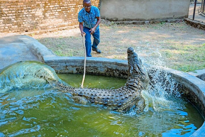 Full-Day Tour Bujumbura With Rusizi Park And Stanley Monument
