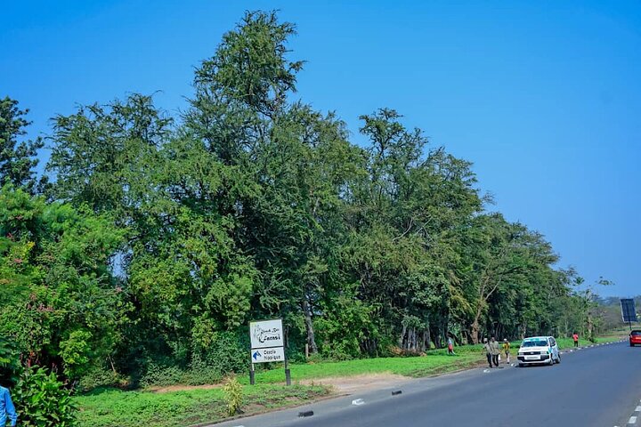 Full-Day Tour Bujumbura With Rusizi Park And Stanley Monument