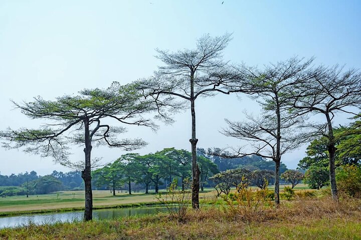 Full-Day Tour Bujumbura With Rusizi Park And Stanley Monument