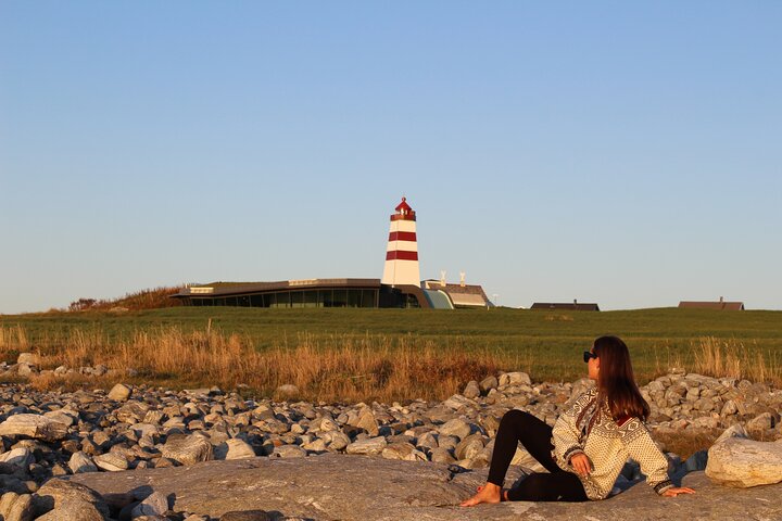 Ålesund Shore Excursion and 6 beautiful highlight stops minibus