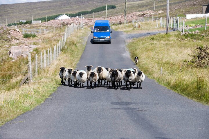 Private Luxury Guided Tour of Connemara from Westport or Ballina