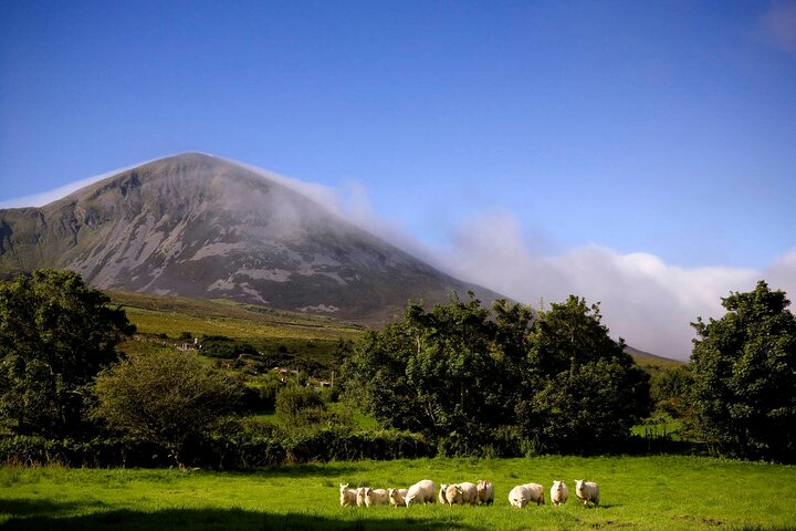 Private Luxury Guided Tour of Connemara from Westport or Ballina
