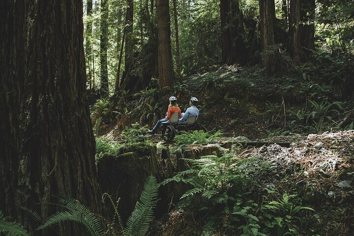Redwoods Railbike Along Pudding Creek
