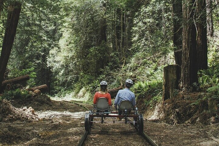 Redwoods Railbike Along Pudding Creek