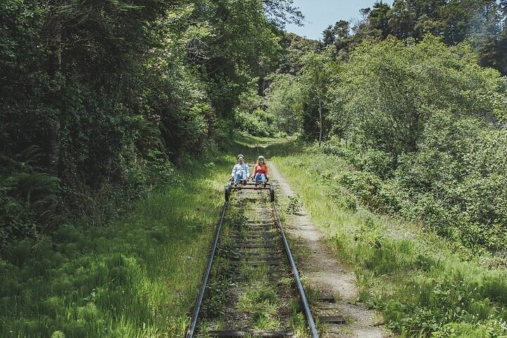 Redwoods Railbike Along Pudding Creek