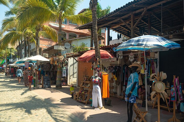 Sayulita And San Pancho Beachs Tour