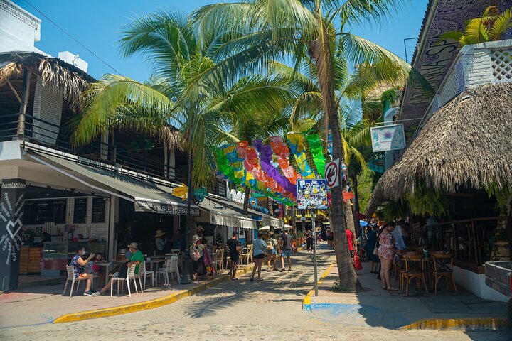Sayulita And San Pancho Beachs Tour