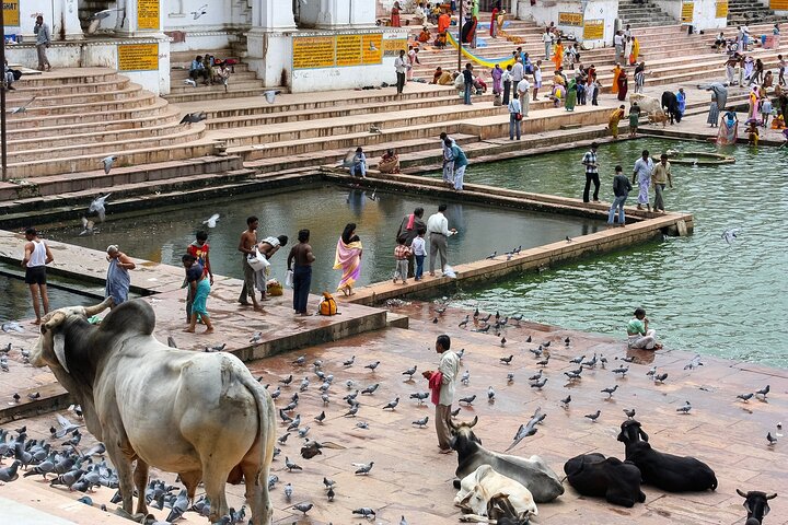 Visit Pushkar with Jaipur Drop from Bikaner Included Local Guide