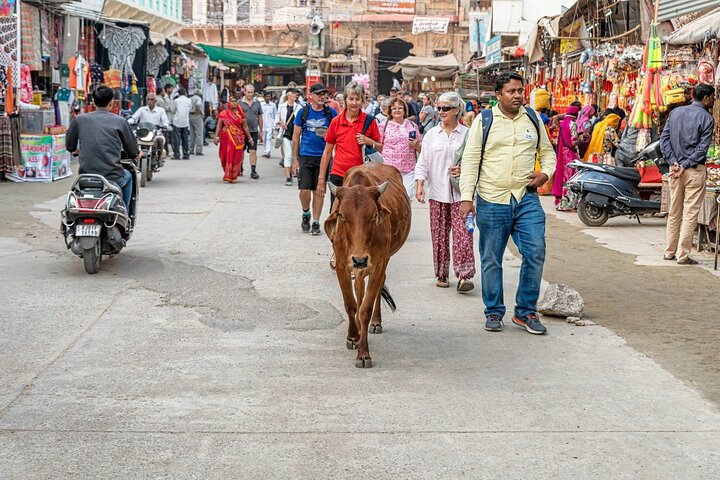 Visit Pushkar with Jaipur Drop from Bikaner Included Local Guide