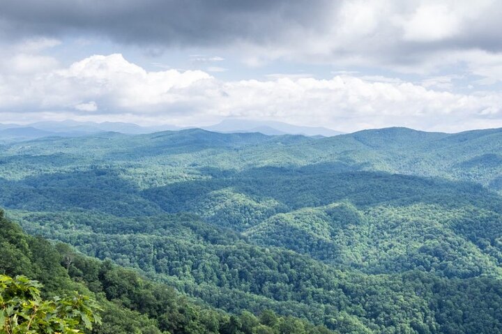 Half-Day Wine Tastings in the North GA Mountains from Atlanta