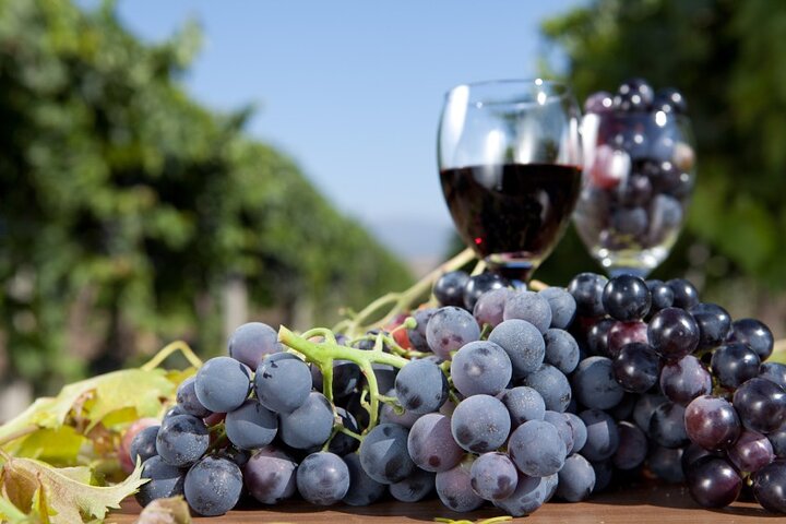 Half-Day Wine Tastings in the North GA Mountains from Atlanta