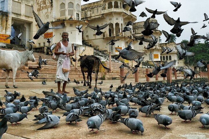 Visit Pushkar with Jaipur Drop from Bikaner Included Local Guide