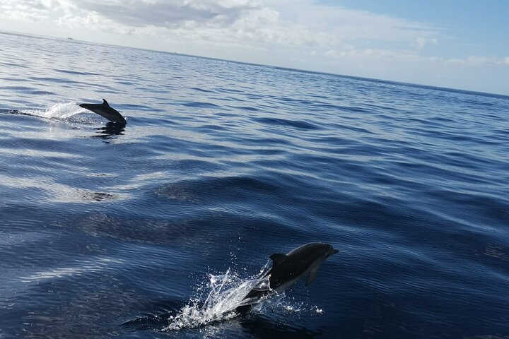 Boat trip along the Northwest Coast of La Palma