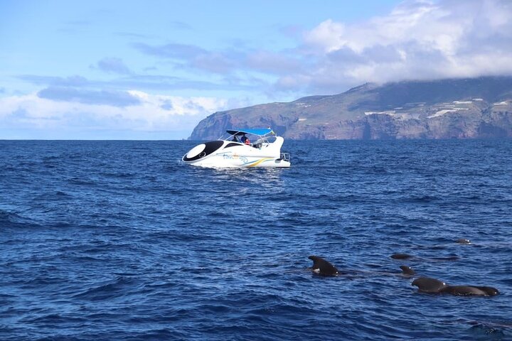 Boat trip along the Northwest Coast of La Palma