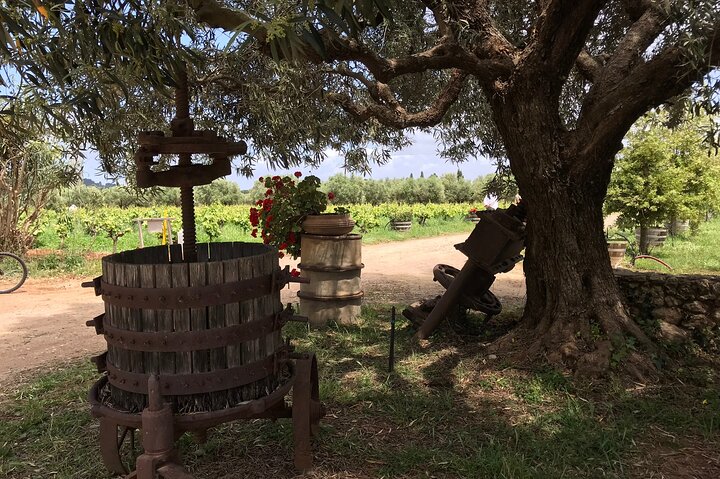 Private Katakolon Excursion to Ancient Olympia, Winery and Beach