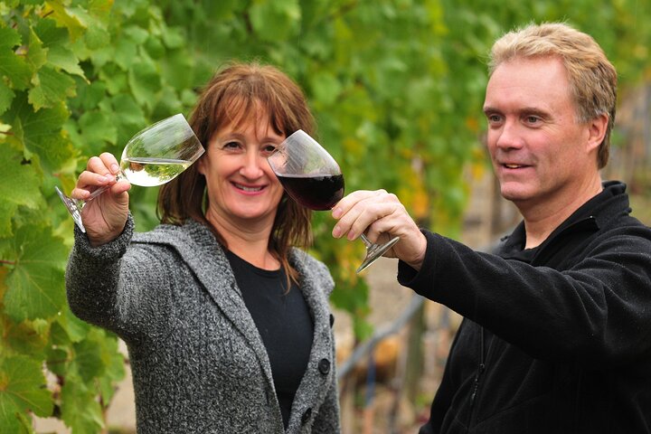 Kelowna Wine Tour by E-Bike with Tastings, Lunch & Okanagan Views