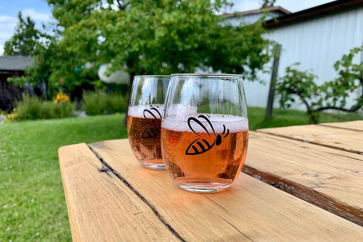 Kelowna Wine Tour by E-Bike with Tastings, Lunch & Okanagan Views