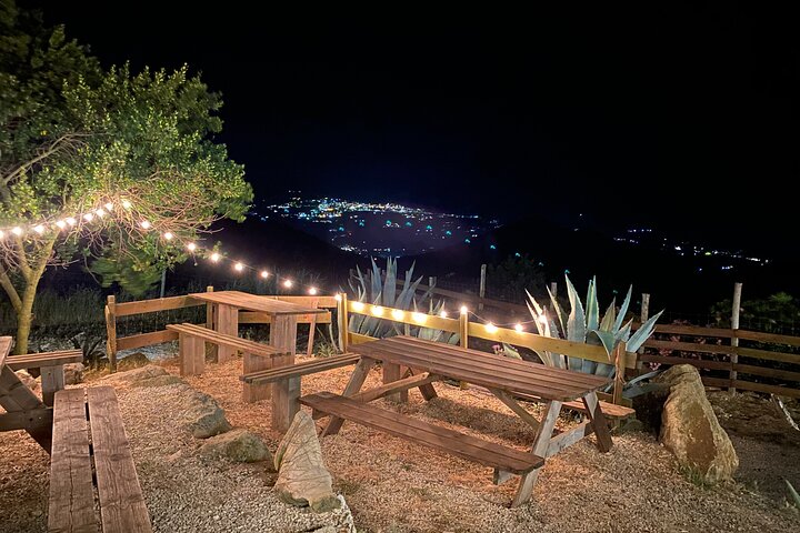 Taste Elba: Organic Food, Wine & Sea Views