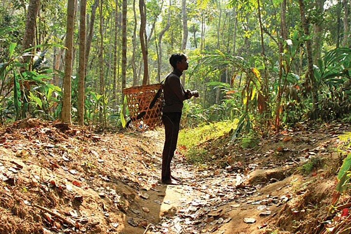 Srimangal Overnight Private Tour from Dhaka